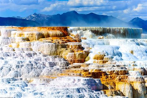 tours including yellowstone park